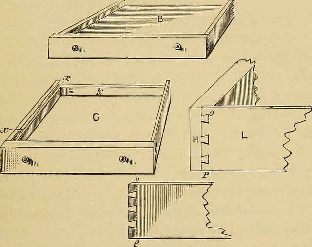 dovetail drawer box design